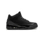 Air Jordan 3 Black Cat