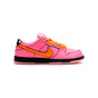 Nike Dunk Low SB Powerpuff Girls Blossom